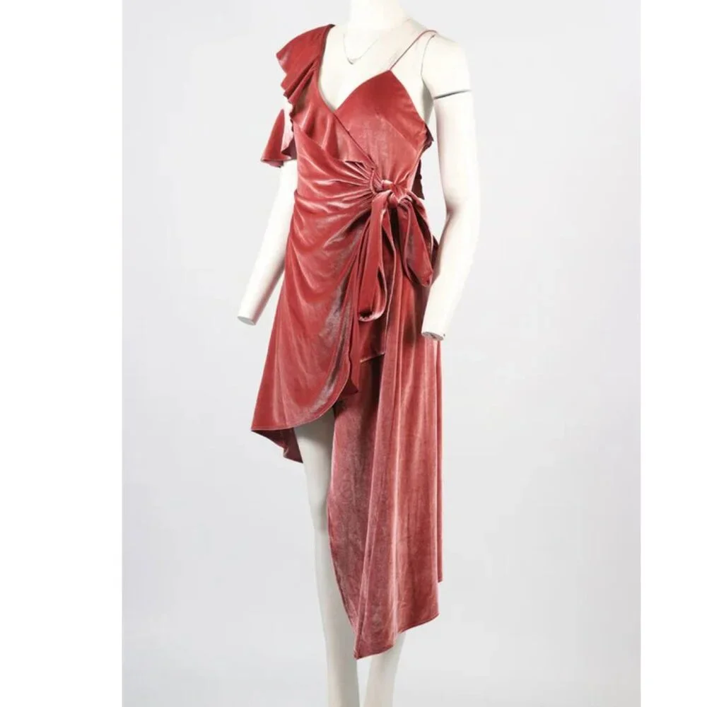 💥BREATHTAKING!💥RARE! Self Portrait Devore Blush Velour Asymmetrical Dress - Picture 7 of 15